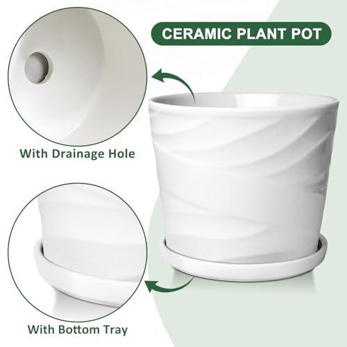 Ceramic Plant Pot with Drainage Saucer 8 Inch Indoor Planter k7