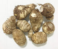Elephant Ears (colocasia) 3 Bulb- Bold Tropical Effect to and Landscape. (10 Live Colocasia Esculenta Elepant Ear Taro Gabi Kalo Eddo Bulbs Fast Growing)
