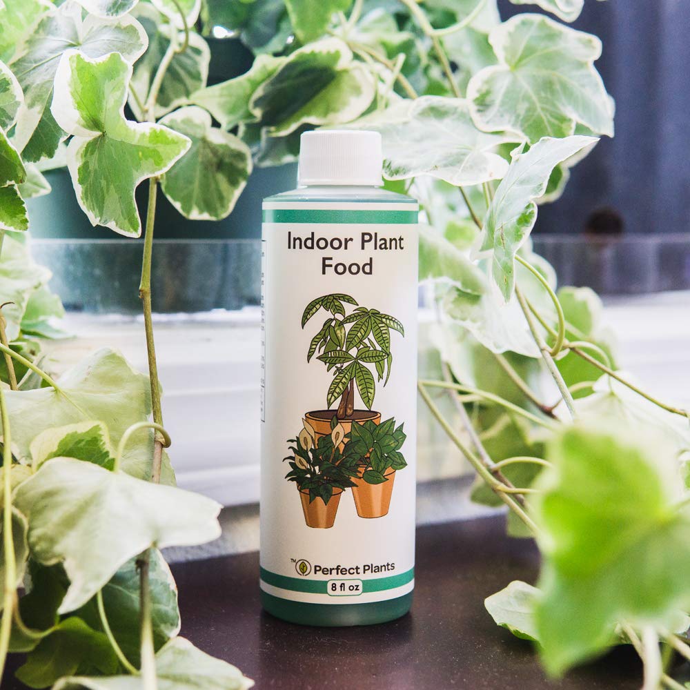 Indoor Plant Food Concentrated Fertilizer 8oz a7