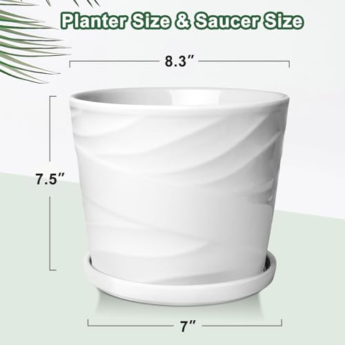 Ceramic Plant Pot with Drainage Saucer 8 Inch Indoor Planter k7