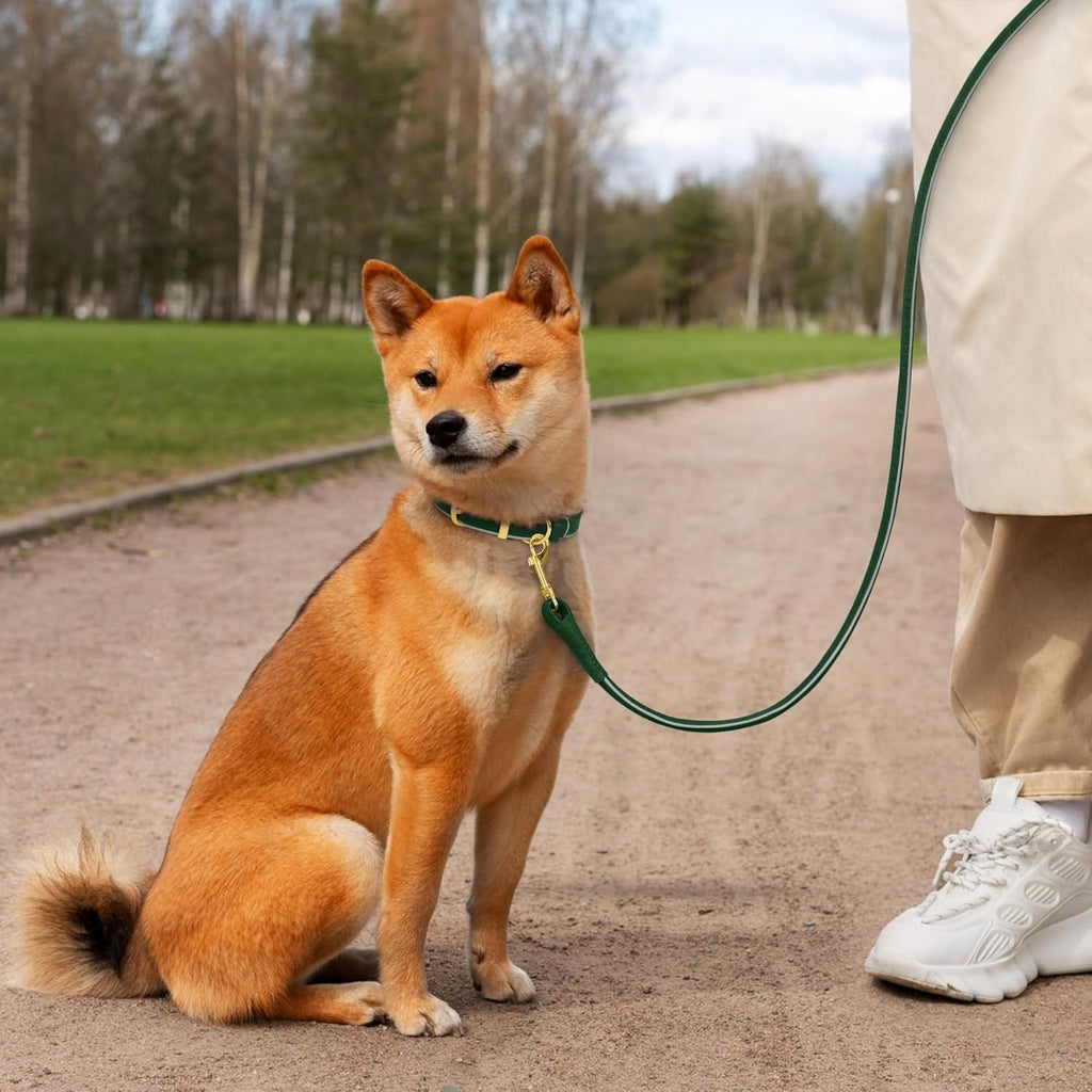 Small Rolled Leather Dog Collar and Leash Set Reflective 6ft Green H312705