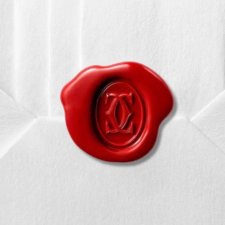Cartier necklace xs