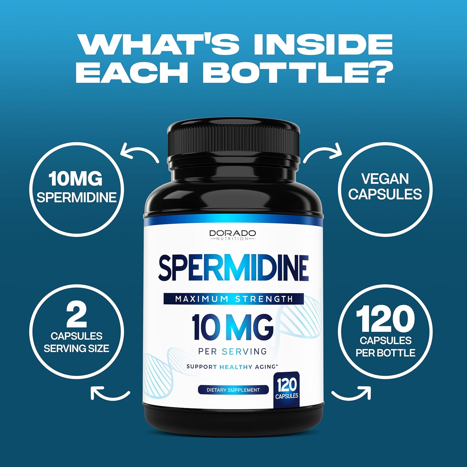 Spermidine Supplement 10mg 120 Capsules Gluten Free k7