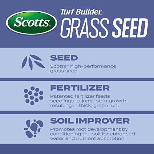 Heat-Tolerant Blue Mix Tall Fescue Lawn Seed with Fertilizer7k