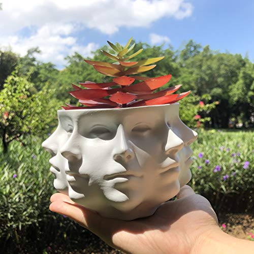 Succulent Planter Vase for Indoor Cactus Pot k7m