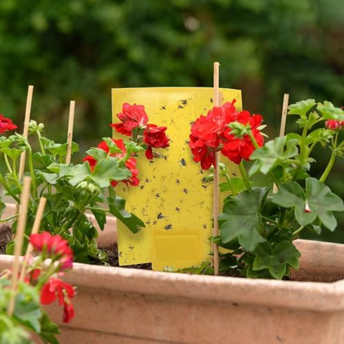 Yellow Sticky Traps for Flying Plant Insects 6x8 Inches with Twist Ties k7m