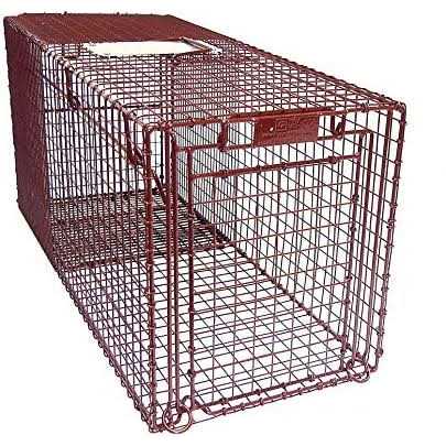 Humane Live Animal Trap for Cats Easy Release k7p