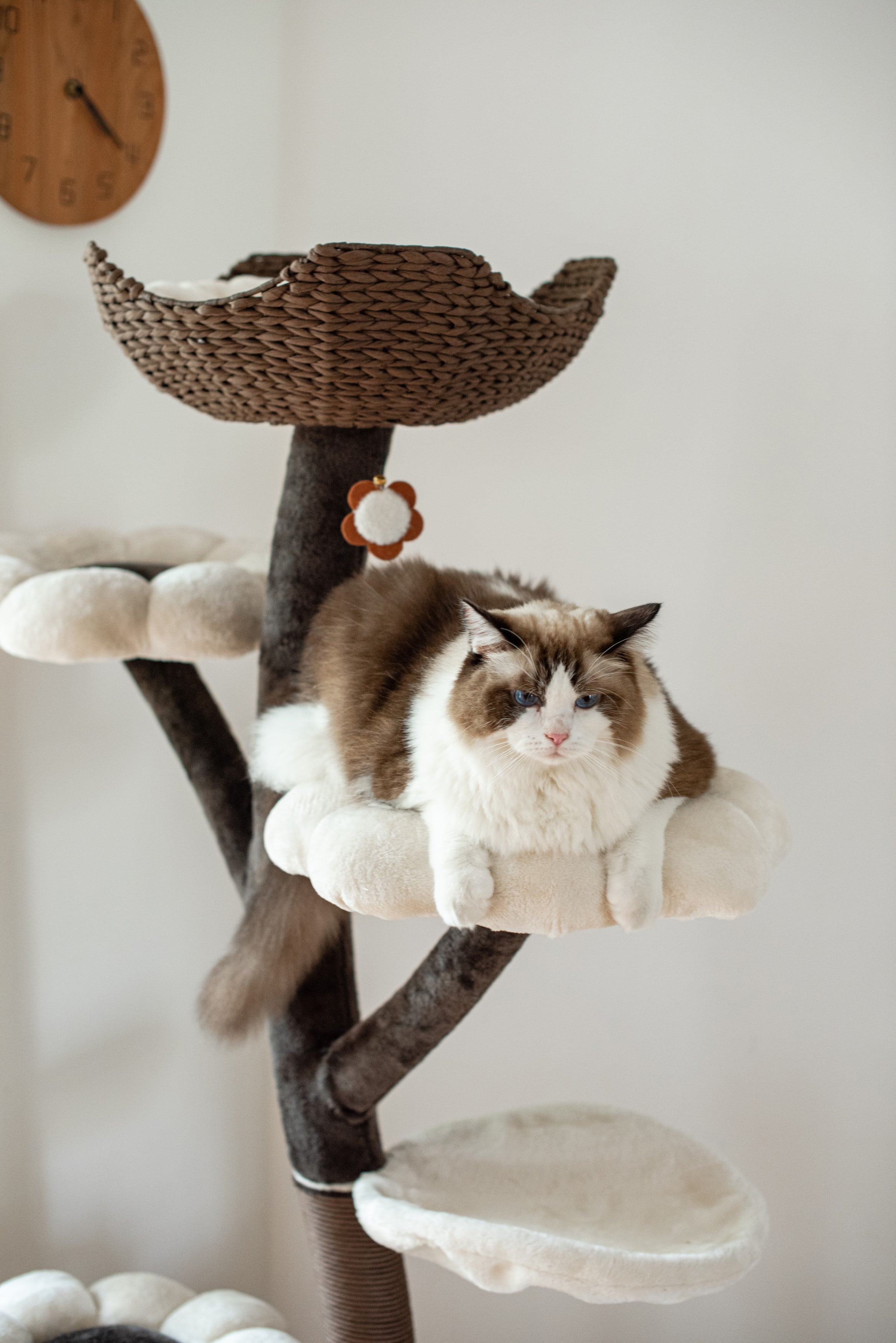 Catry 59" Natural Blossom Cat Tree 6-Level Cat Tower with Hammock T18613