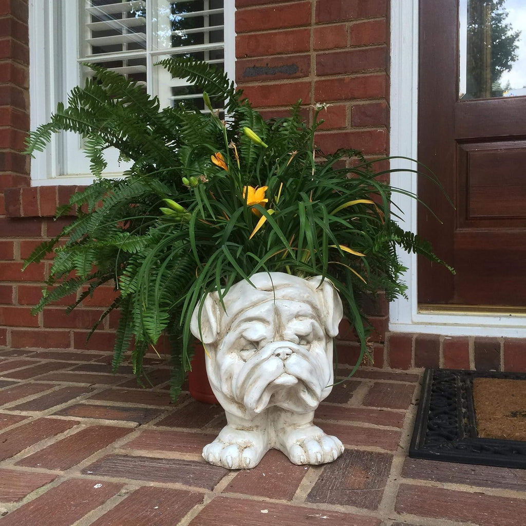 Antique White Bulldog Statue Planter Holds 5 in. Pot q7