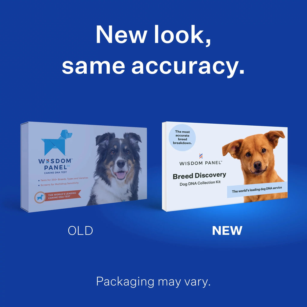 Wisdom Panel Dog DNA Test Kit L763