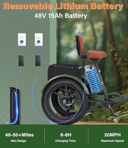 Electric Tricycle 3 Wheel Bike for Adults a7