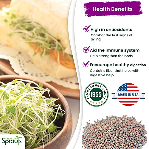 Nature Jims Sprouts Broccoli Sprout Seeds - Certified Organic, 8oz P1311