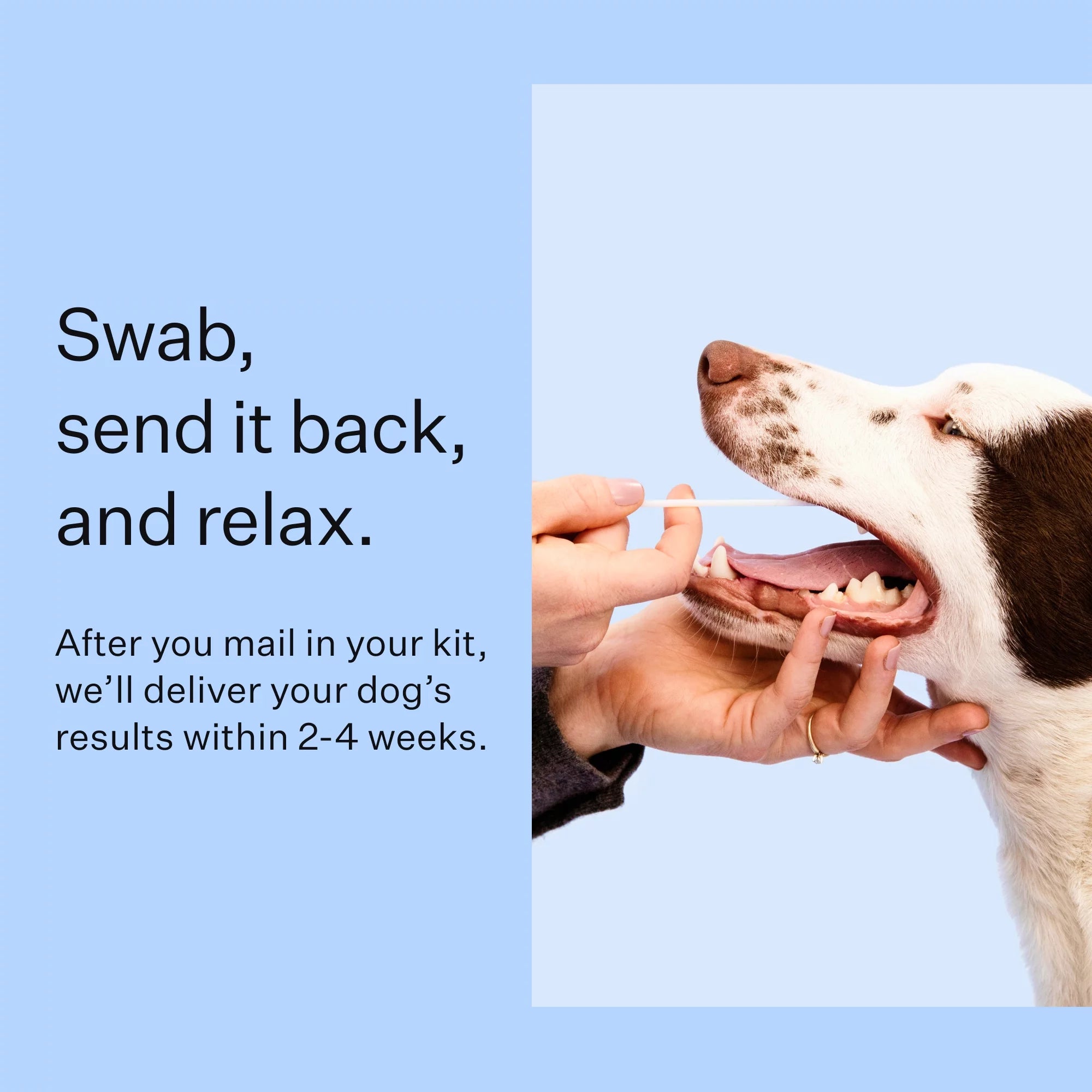 Dog DNA Test Kit for Breed Discovery k7