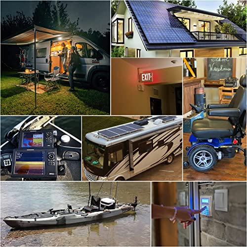 WEIZE 12V 100Ah LiFePO4 Lithium Battery with Smart BMS for RV, Solar, Marine C2217