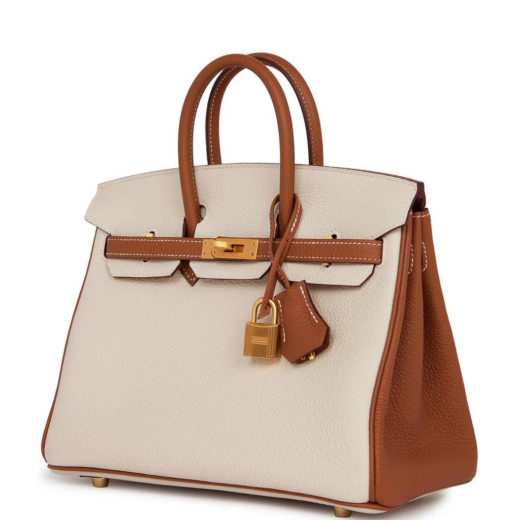 Birkin 25 Togo Leather Handbag Gold Hardware k7m