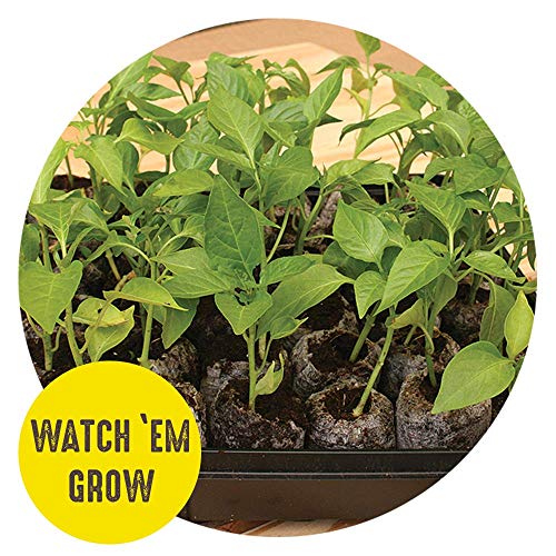 Seed Starting Tray Kit 36 Cell Peat Pellets 3 Pack a7
