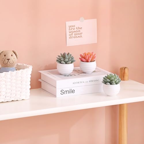 Tiita Artificial Succulents in Ceramic Pots for Desk Home Office Decor E105770