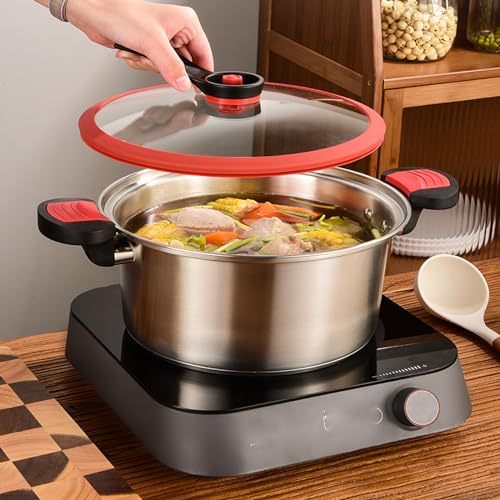 Stainless Steel Pressure Cooker 7.5L for Gas & Induction E66366
