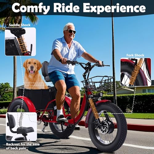 Electric Tricycle 3 Wheel Bike for Adults a7