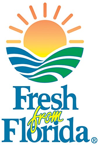 Persimmon Tree Live Plant 3-4 ft a7