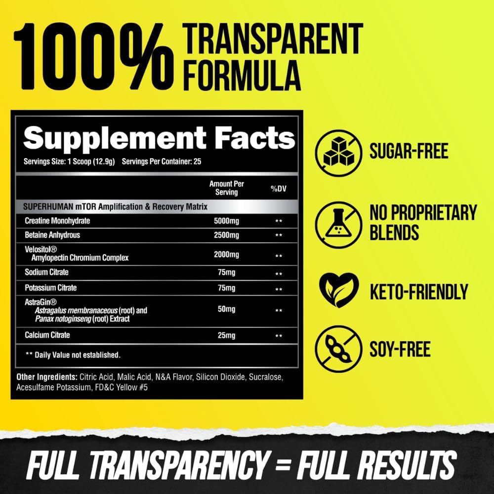 Pre Workout & Recovery Bundle, Energy Focus Muscle Growth 7k
