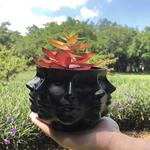Succulent Planter Vase for Indoor Cactus Pot k7m