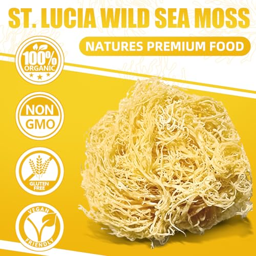Sea Moss Gel Organic Wildcrafted Irish Supplement Strawberry Banana Flavor k7