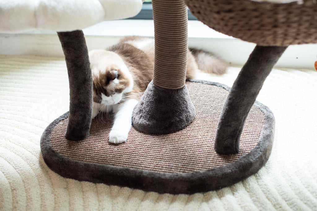 Catry 59" Natural Blossom Cat Tree 6-Level Cat Tower with Hammock T18613