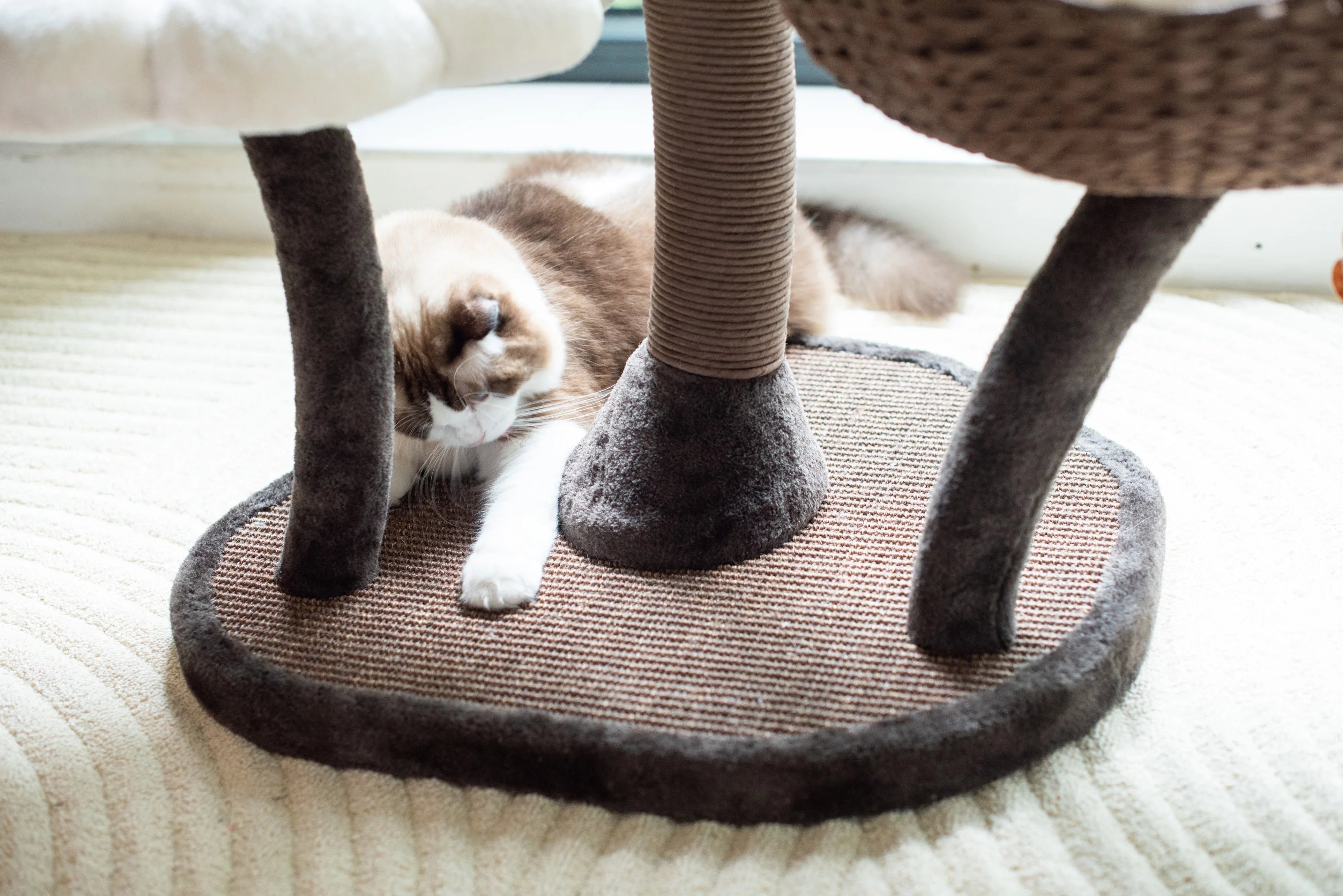 Catry 59" Natural Blossom Cat Tree 6-Level Cat Tower with Hammock T18613