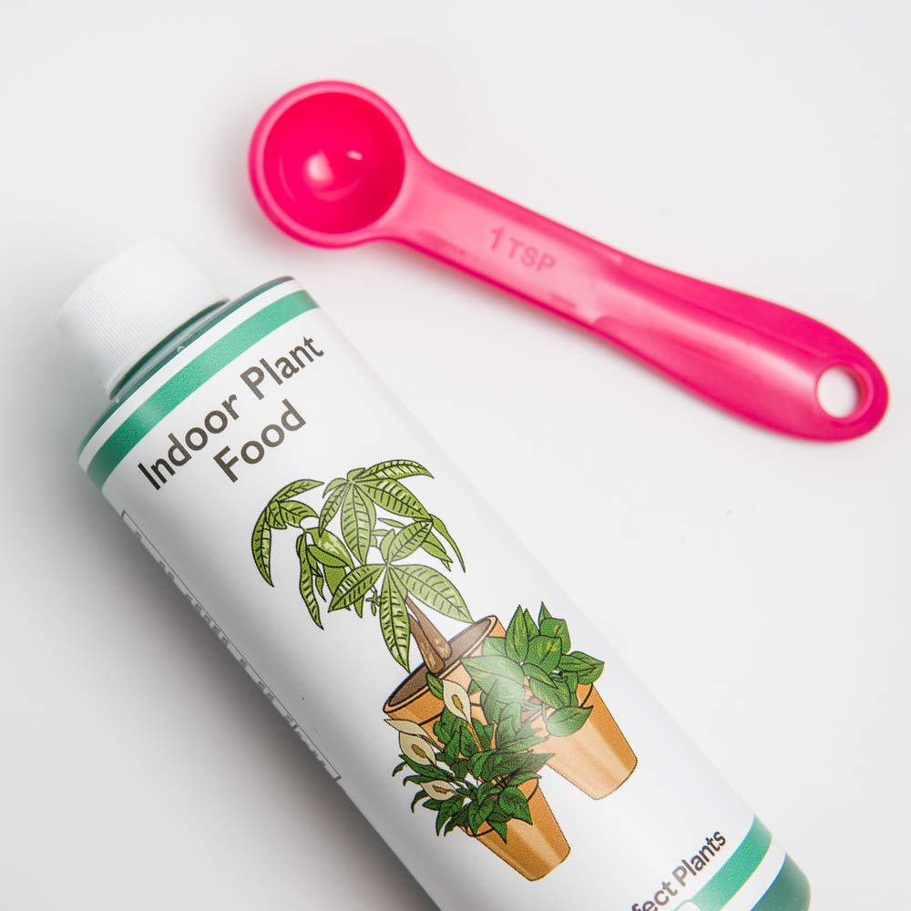 Indoor Plant Food Concentrated Fertilizer 8oz a7