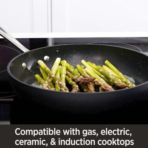 All-Clad HA1 Hard Anodized Nonstick Fry Pan 12 Inch, Oven Safe C3125