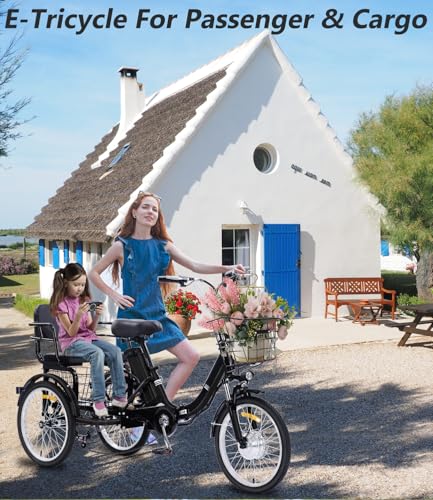 Electric Tricycle 3 Wheel Bike for Adults a7