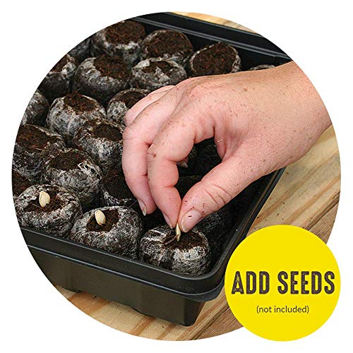 Seed Starting Tray Kit 36 Cell Peat Pellets 3 Pack a7
