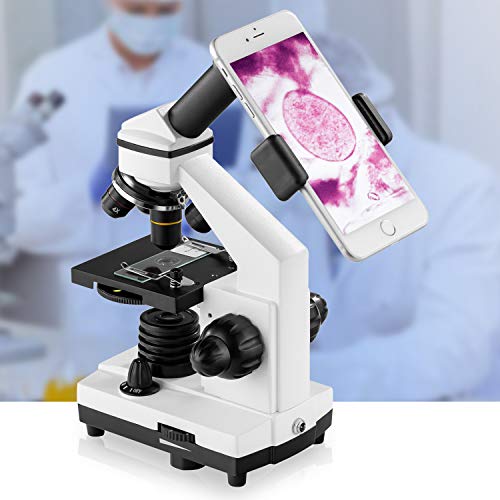 BEBANG Compound Microscope 100X-2000X for Adults Kids V42193