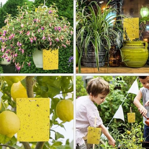 Yellow Sticky Traps for Flying Plant Insects 6x8 Inches with Twist Ties k7m