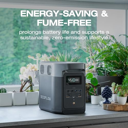 EF ECOFLOW Solar Generator DELTA2 with 220W Solar Panel, Portable Power Station Z81983