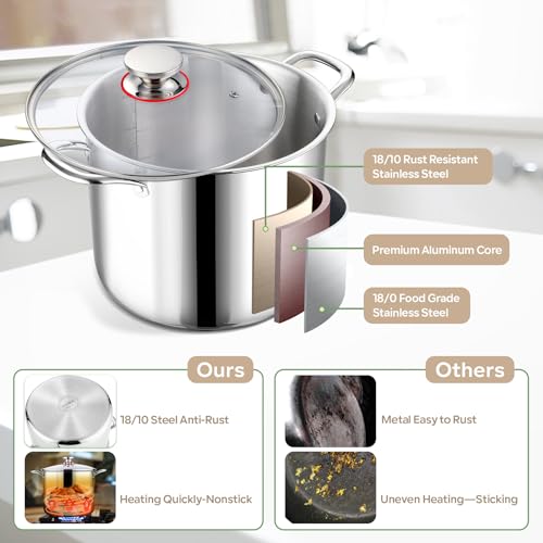LIANYU 10 Quart Stock Pot with Lid, Stainless Steel Tri-Ply D8155