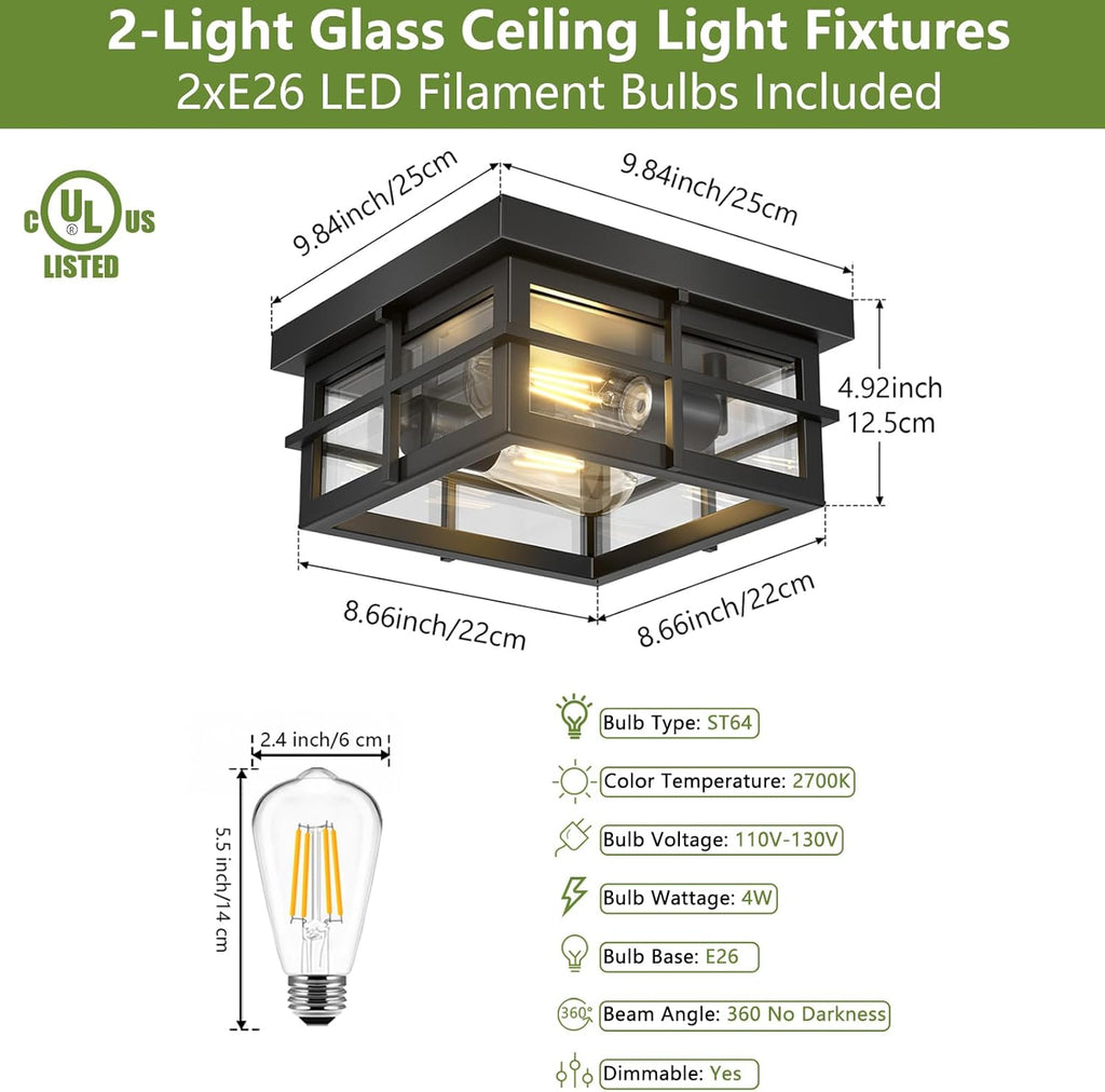 Modern Outdoor Ceiling Light 2-Light Black Flush Mount Clear Glass Shade a7