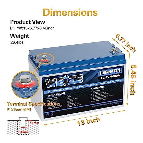 WEIZE 12V 100Ah LiFePO4 Lithium Battery with Smart BMS for RV, Solar, Marine C2217