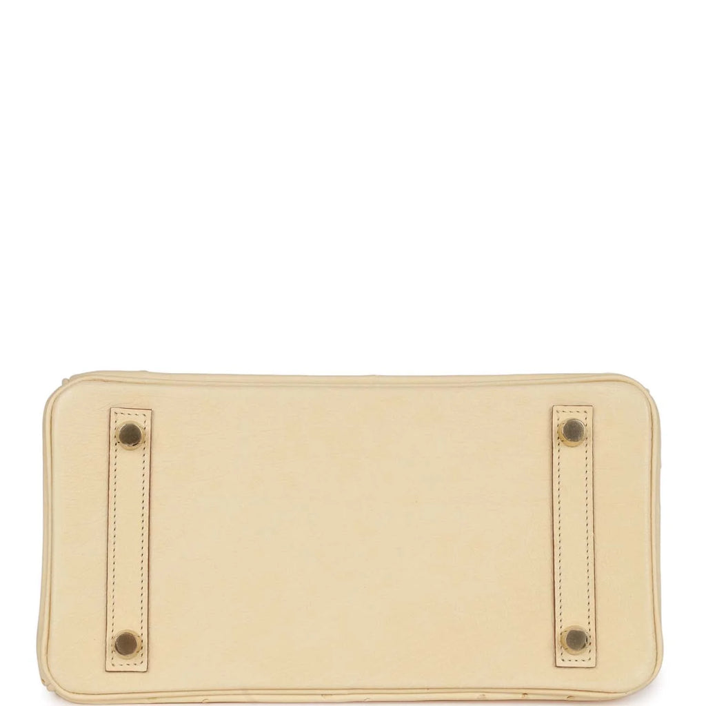 Ostrich Leather Handbag Gold Hardware k7