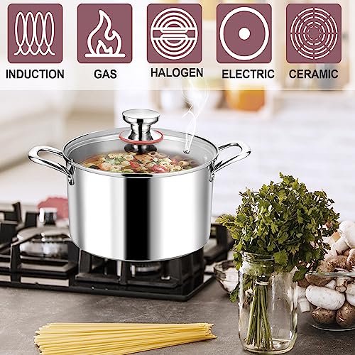 LIANYU 12QT 18/10 Stainless Steel Stock Pot with Lid V7290