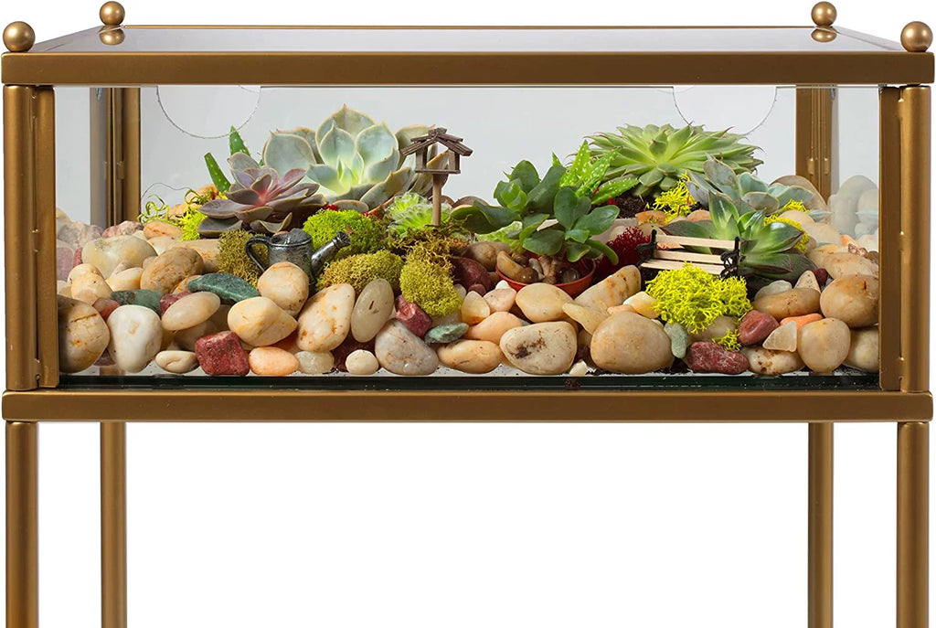 Terrarium Glass End Table 18x18x27 a7