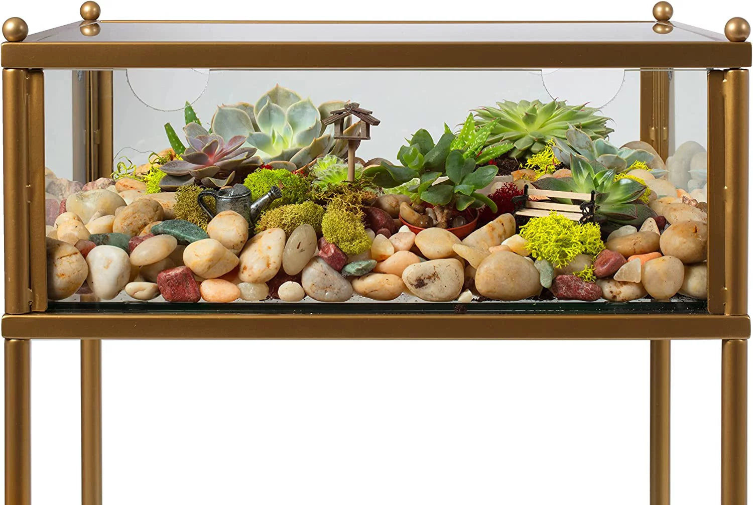 Terrarium Glass End Table 18x18x27 a7