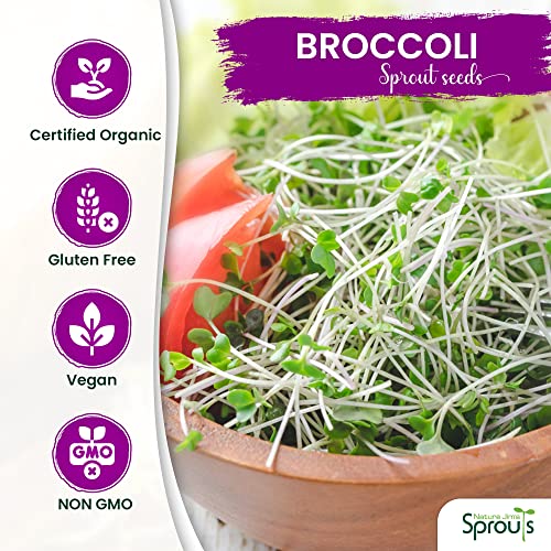 Nature Jims Sprouts Broccoli Sprout Seeds - Certified Organic, 8oz P1311