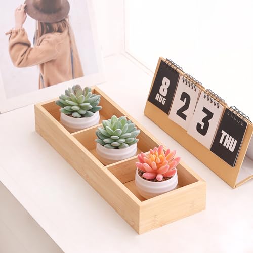 Tiita Artificial Succulents in Ceramic Pots for Desk Home Office Decor E105770