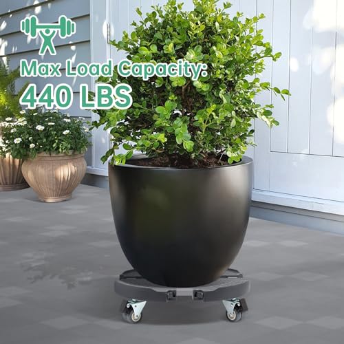 Plant Caddy with Wheels 2 Pack Heavy Duty Rolling Stand7k