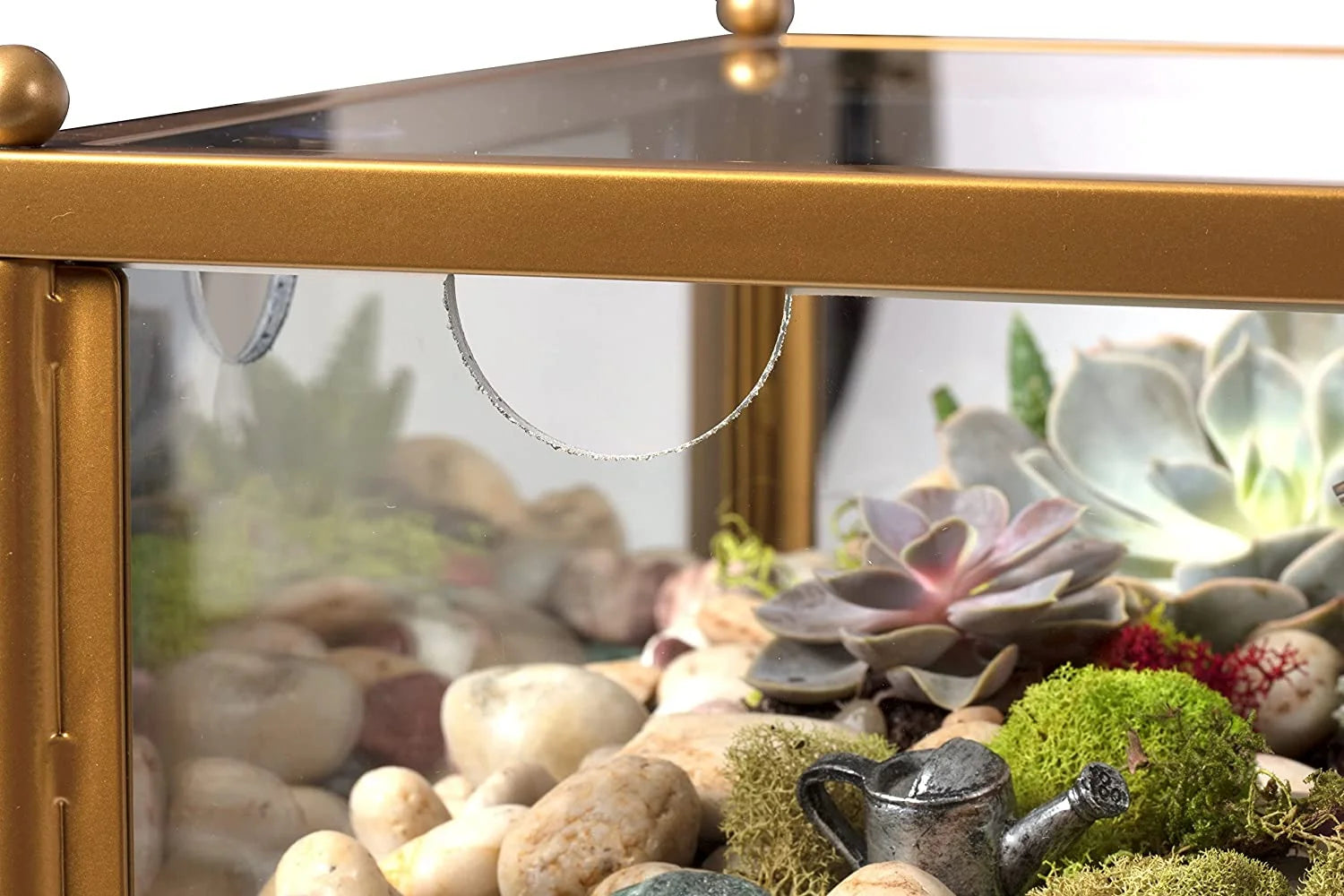 Terrarium Glass End Table 18x18x27 a7