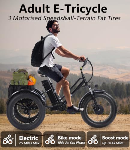 Electric Tricycle 3 Wheel Bike for Adults a7