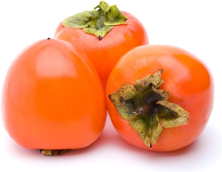 Persimmon Fruit Tree Seeds, 30+ Seeds, Non GMO Heirloom k7