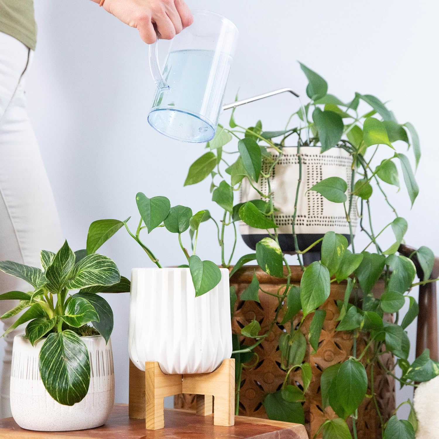 Plant Fertilizer Tablets for Indoor Plants k7